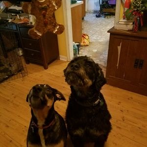 Meet your Posher, Roger